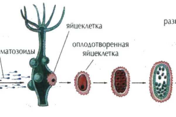 Кракен переходник ссылка