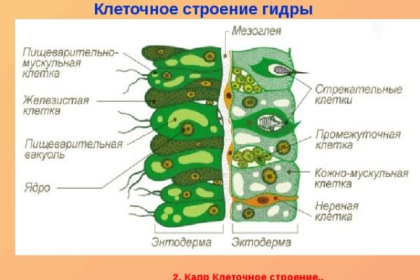 Кракен ссылка прокатис